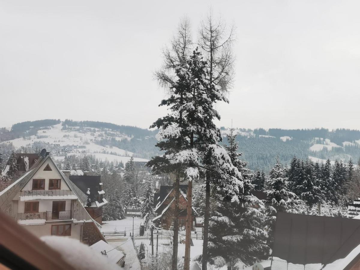 זקופאנה Apartamenty Villa Ski-Bowki מראה חיצוני תמונה